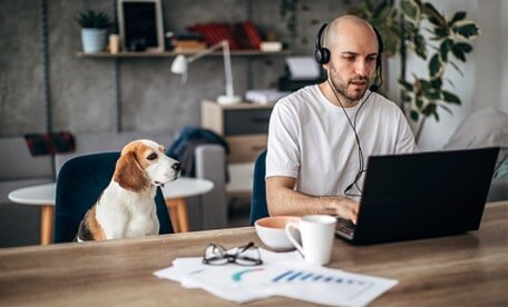 Hund am Arbeitsplatz – No oder Go? - Sind Hunde am Arbeitsplatz erlaubt? │ versee.de