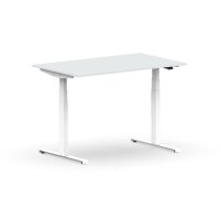 Elektrischer Schreibtisch VES1 - 120 x 75 cm 16mm Tischplatte Lichtgrau ABS Schwarz Gestell Weiss Ohne Kabeldurchlass Ohne Kabelkanal
