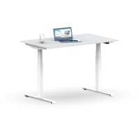 Elektrischer Schreibtisch VES1 - 140 x 100 cm 16mm Tischplatte Lichtgrau ABS Weiss Gestell Weiss Ohne Kabeldurchlass Ohne Kabelkanal